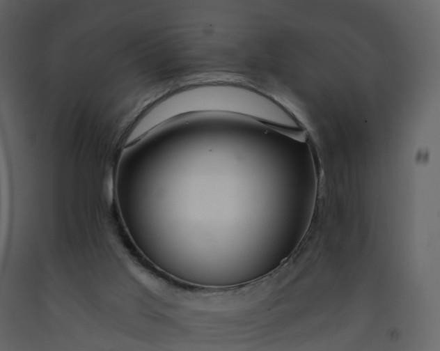 X0000092260013200710051328