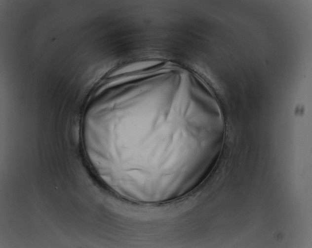 X0000092260014200710051328