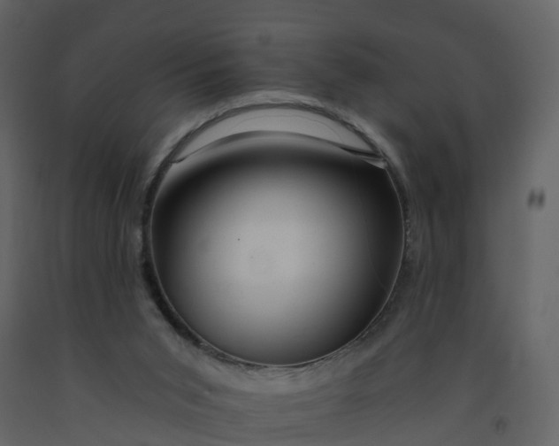 X0000092260015200710051328