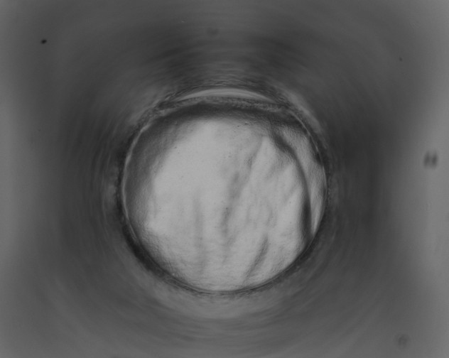 X0000092260018200710051328