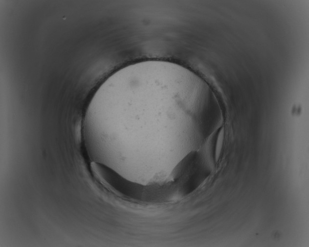 X0000092260019200710051328