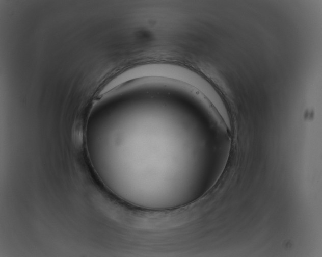 X0000092260021200710051328