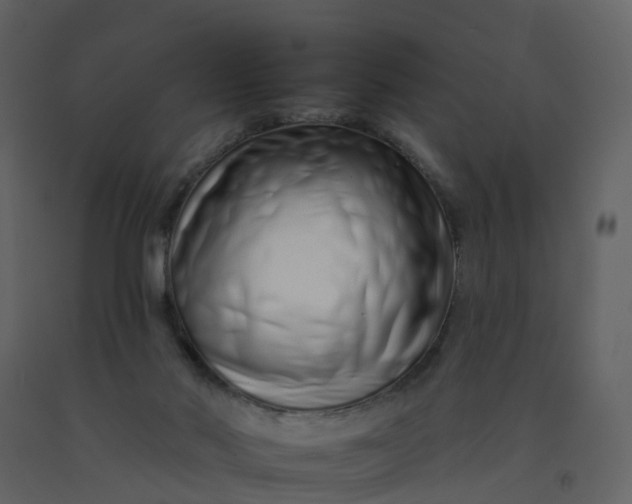 X0000092260022200710051328