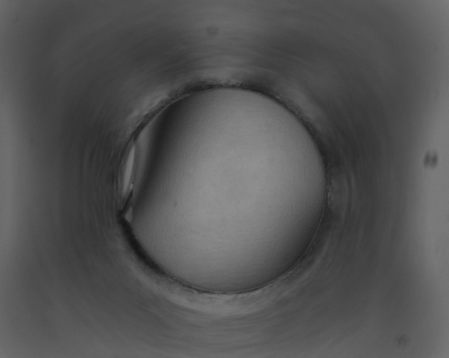 X0000092260023200710051328