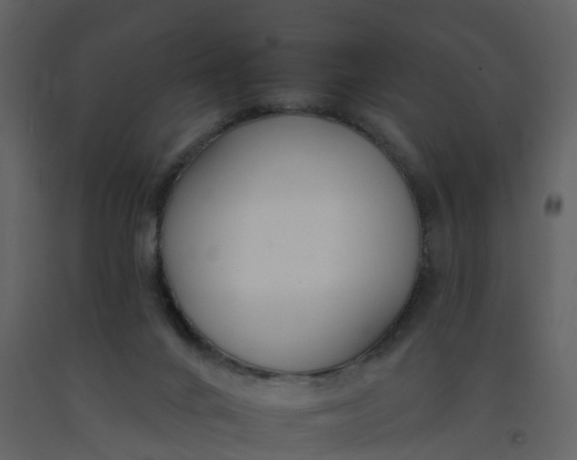 X0000092260024200710051328