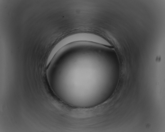 X0000092260025200710051328