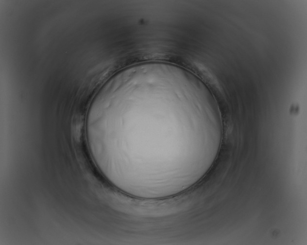 X0000092260026200710051328