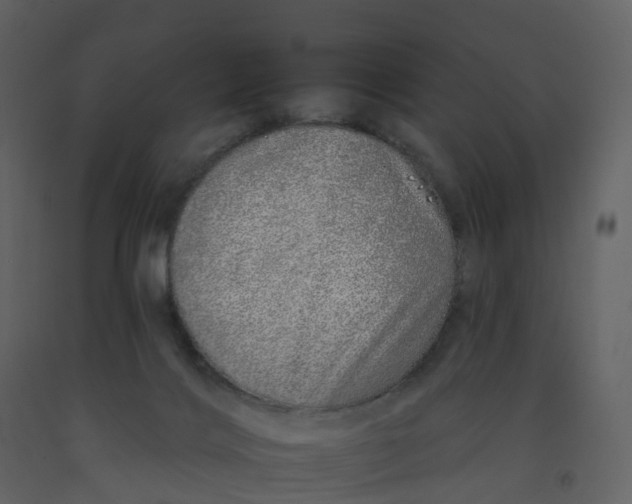 X0000092260028200710051328