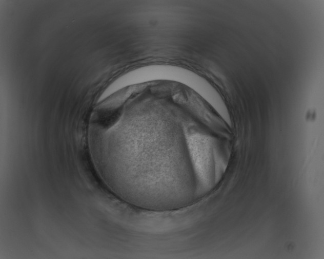 X0000092260029200710051328