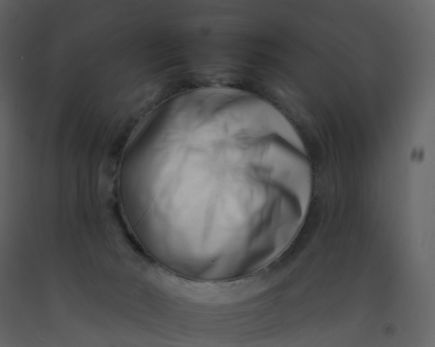 X0000092260030200710051328