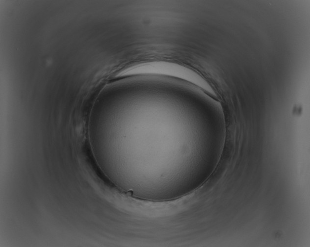 X0000092260031200710051328