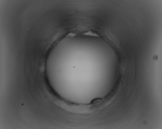 X0000092260032200710051328