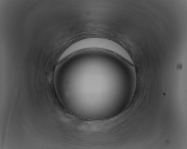 X0000092260033200710051328