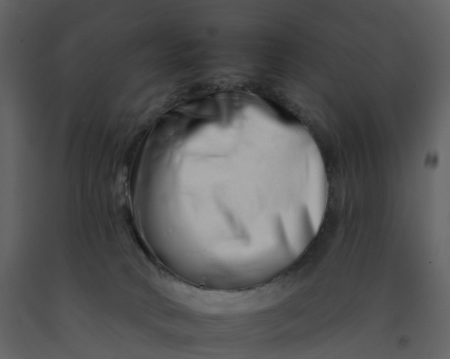 X0000092260034200710051328