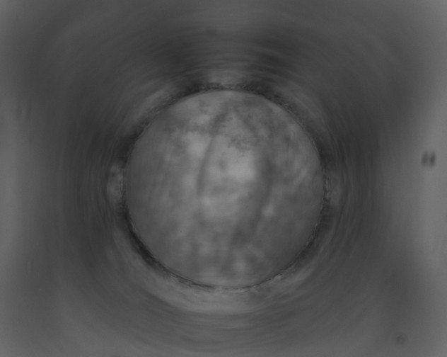 X0000092260036200710051328