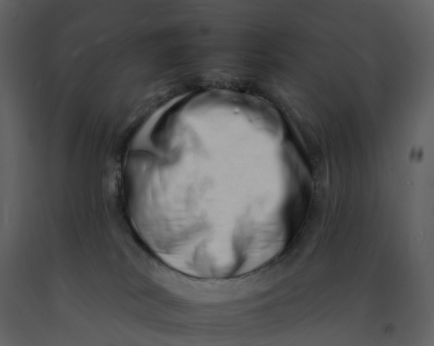 X0000092260038200710051328