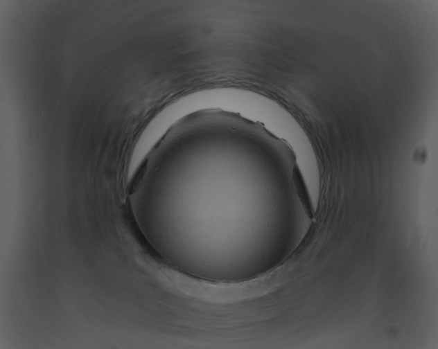 X0000092260039200710051328