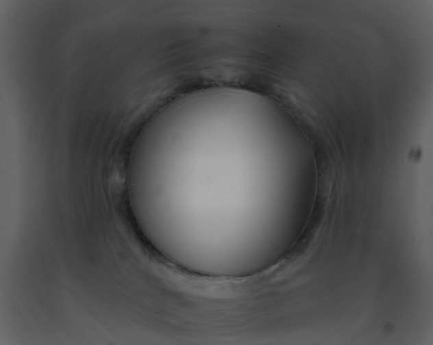 X0000092260040200710051328