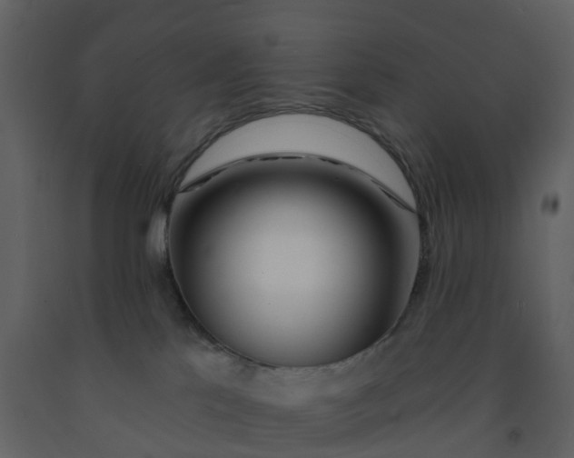 X0000092260041200710051328