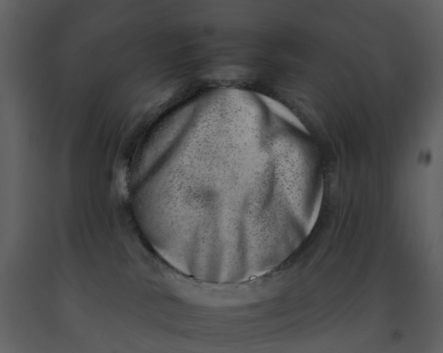 X0000092260042200710051328