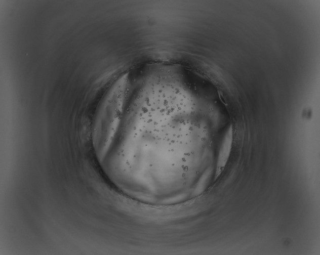 X0000092260043200710051328