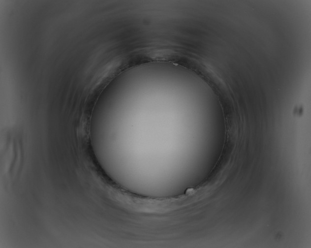 X0000092260044200710051328