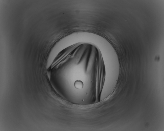 X0000092260045200710051328