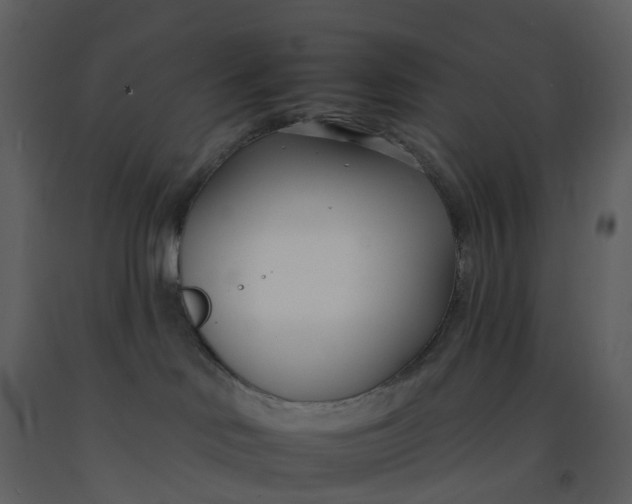 X0000092260046200710051328