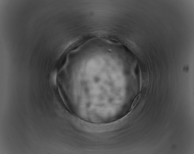 X0000092260047200710051328