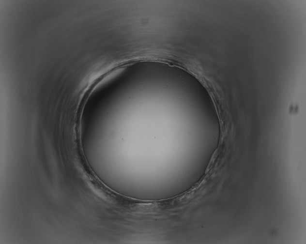 X0000092260050200710051327