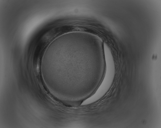 X0000092260052200710051327