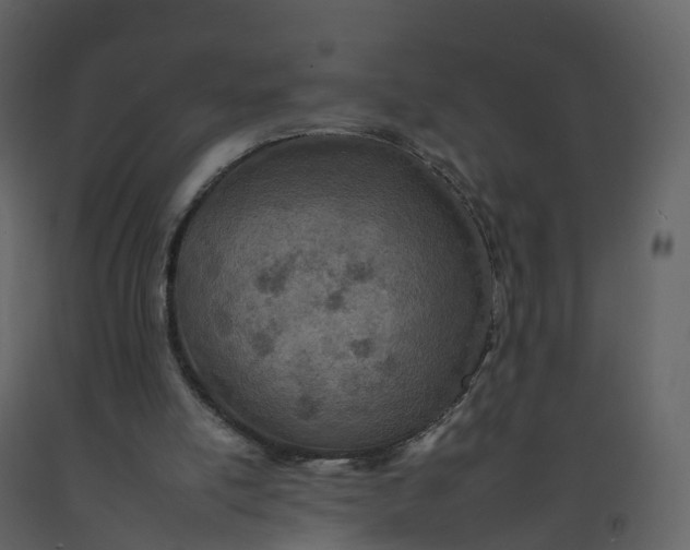 X0000092260054200710051327