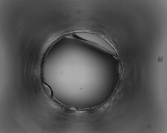 X0000092260055200710051327