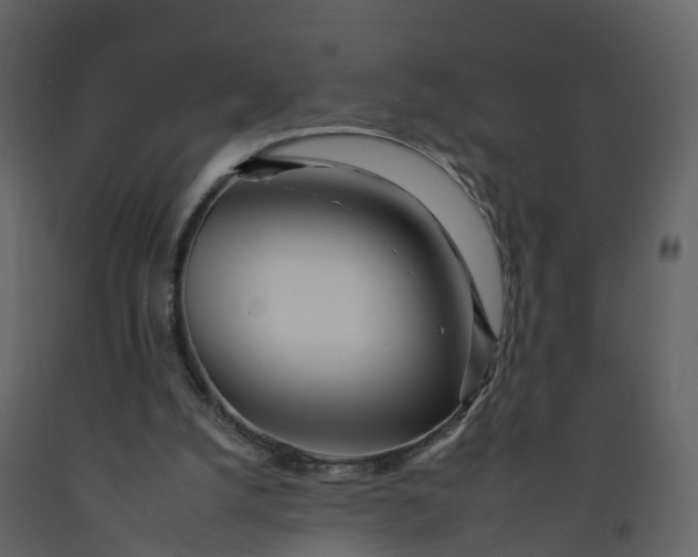 X0000092260056200710051327