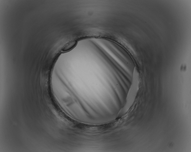 X0000092260058200710051327