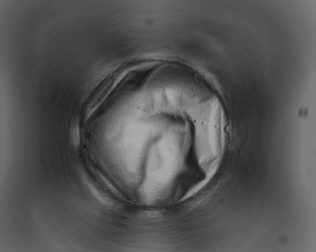 X0000092260061200710051327