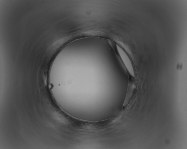 X0000092260062200710051327