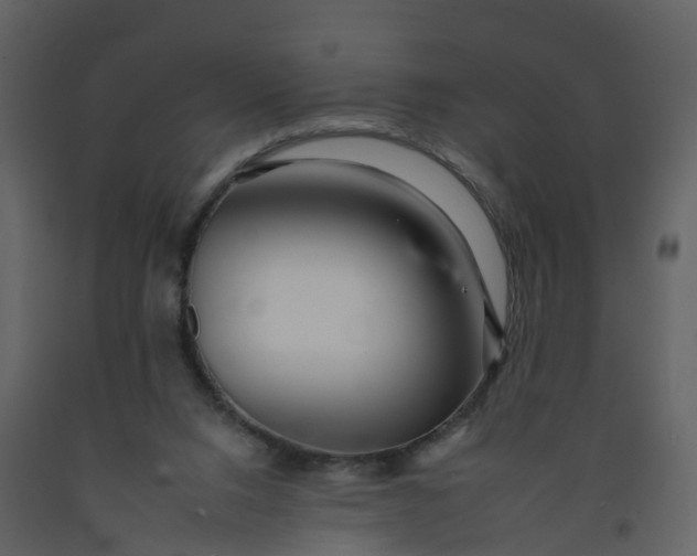 X0000092260064200710051327