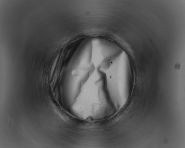 X0000092260065200710051327