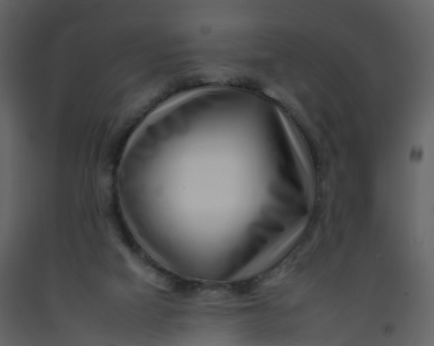 X0000092260066200710051327