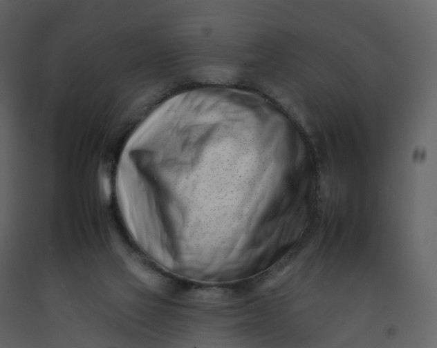 X0000092260069200710051327