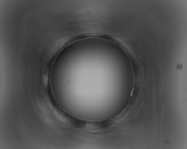 X0000092260070200710051327