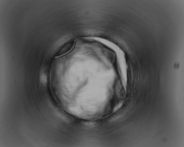 X0000092260071200710051327