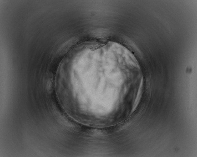 X0000092260073200710051327