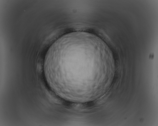 X0000092260074200710051327