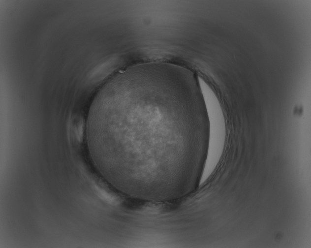 X0000092260076200710051327