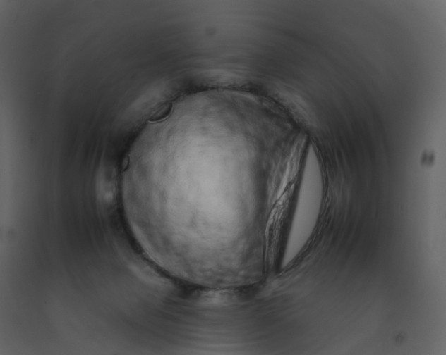 X0000092260077200710051327