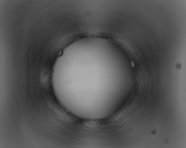 X0000092260079200710051327