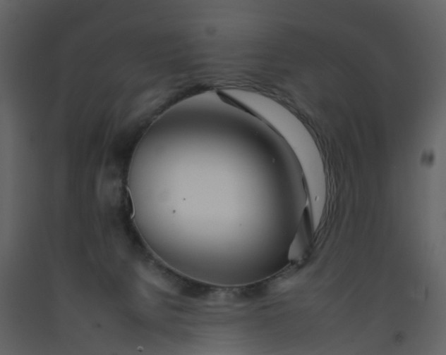 X0000092260080200710051327