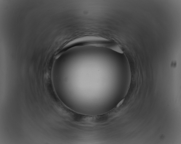 X0000092260084200710051327